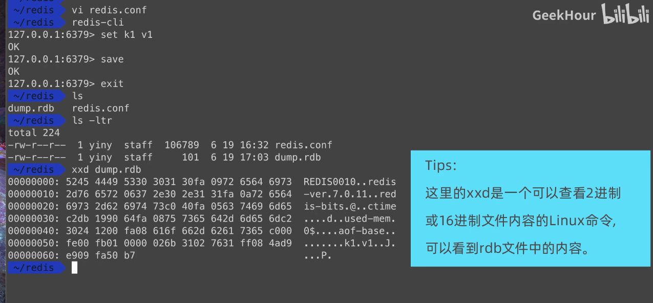 image-20251011014532405