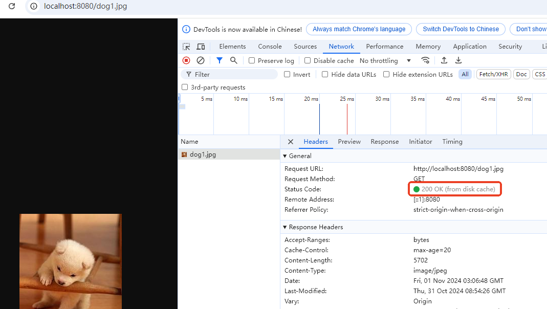 image-20250502160251111