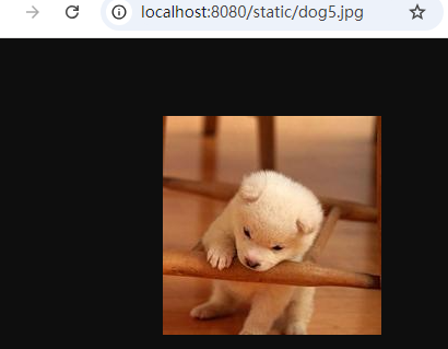 image-20250503164646779