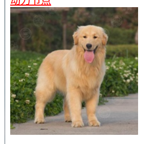 image-20250527193044240