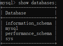 image-20250316030921110
