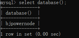 image-20250316031023848