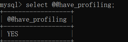 image-20250330213227972